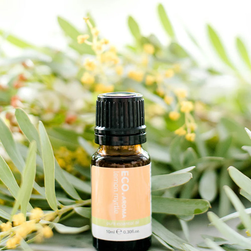 Myrtle Essential Oil